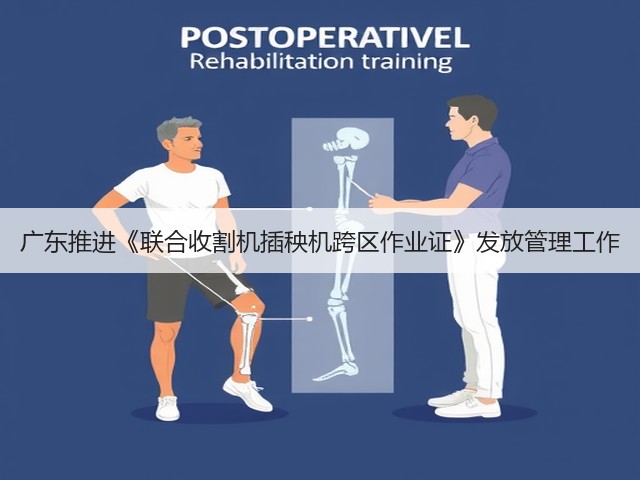 广东推进《联合收割机插秧机跨区作业证》发放管理工作(图3)
