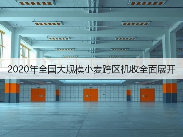 2020年全国大规模小麦跨区机收全面展开(图2) 2020年全国大规模小麦跨区机收全面展开(图2)
