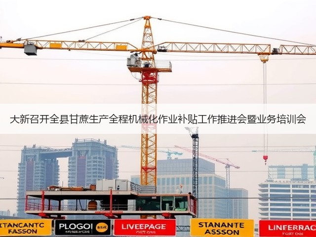 大新召开全县甘蔗生产全程机械化作业补贴工作推进会暨业务培训会(图1)