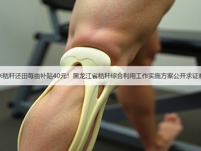 玉米秸秆还田每亩补贴40元！黑龙江省秸秆综合利用工作实施方案公开求证意见(图3)