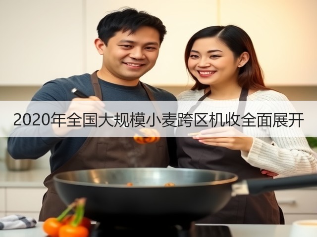 2020年全国大规模小麦跨区机收全面展开(图2) 2020年全国大规模小麦跨区机收全面展开(图2)