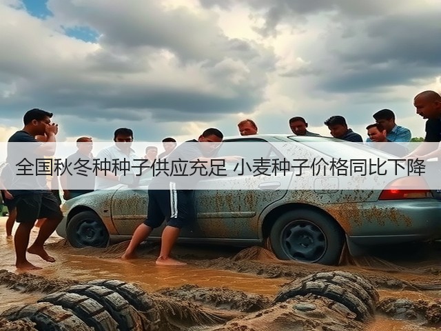 全国秋冬种种子供应充足 小麦种子价格同比下降(图2) 全国秋冬种种子供应充足 小麦种子价格同比下降(图2)