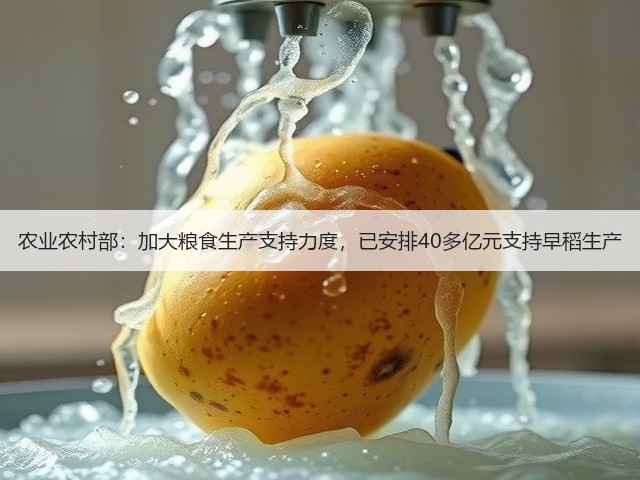 农业农村部:加大粮食生产支持力度,已安排40多亿元支持早稻生产(图3) 农业农村部:加大粮食生产支持力度,已安排40多亿元支持早稻生产(图3)