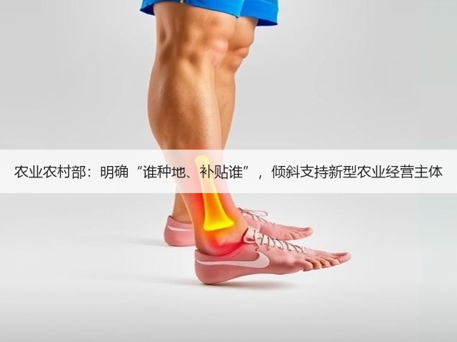 农业农村部：明确“谁种地、补贴谁”，倾斜支持新型农业经营主体(图2)