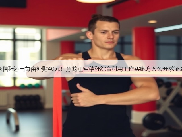 玉米秸秆还田每亩补贴40元!黑龙江省秸秆综合利用工作实施方案公开求证意见(图2) 玉米秸秆还田每亩补贴40元!黑龙江省秸秆综合利用工作实施方案公开求证意见(图2)