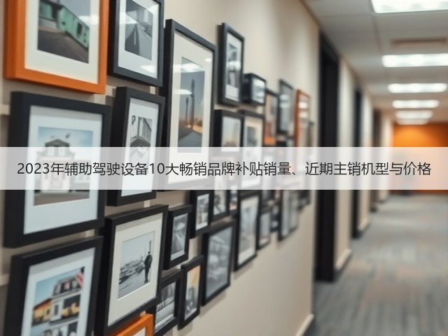 2023年辅助驾驶设备10大畅销品牌补贴销量、近期主销机型与价格(图2)