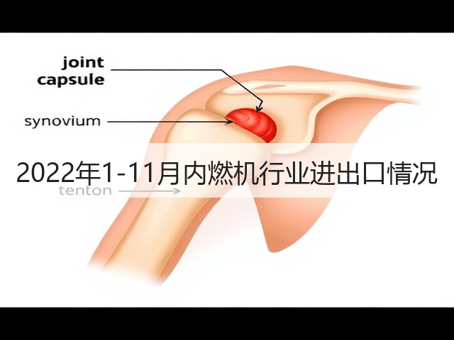 2022年1-11月内燃机行业进出口情况(图3) 2022年1-11月内燃机行业进出口情况(图3)