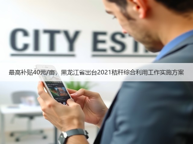最高补贴40元/亩,黑龙江省出台2021秸秆综合利用工作实施方案(图3) 最高补贴40元/亩,黑龙江省出台2021秸秆综合利用工作实施方案(图3)