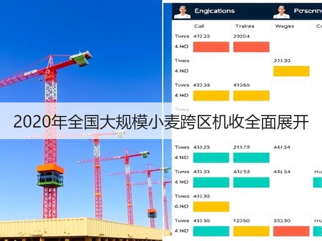 2020年全国大规模小麦跨区机收全面展开(图3) 2020年全国大规模小麦跨区机收全面展开(图3)
