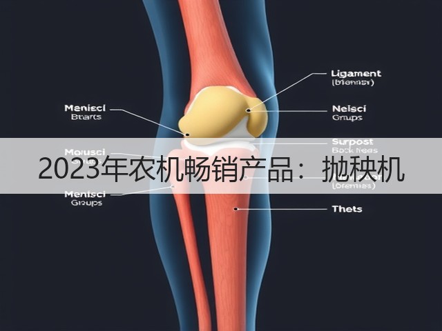 2023年农机畅销产品：抛秧机(图2)