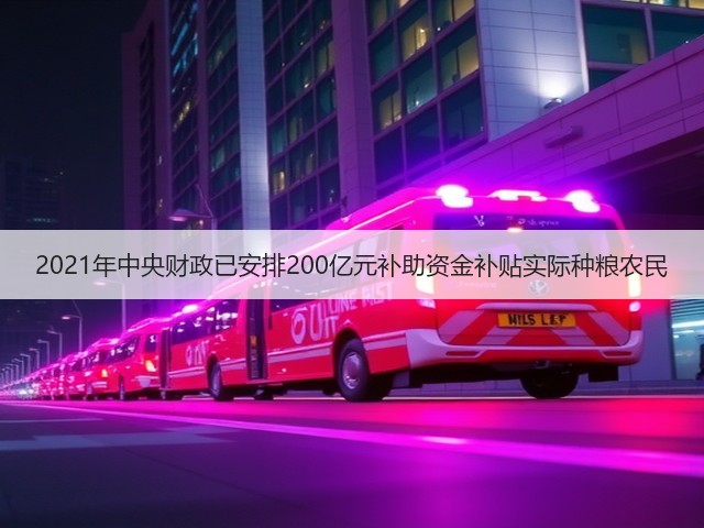 2021年中央财政已安排200亿元补助资金补贴实际种粮农民(图3) 2021年中央财政已安排200亿元补助资金补贴实际种粮农民(图3)