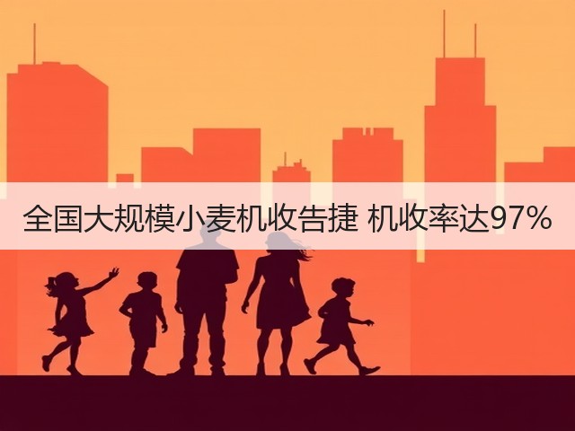 全国大规模小麦机收告捷 机收率达97%(图3) 全国大规模小麦机收告捷 机收率达97%(图3)
