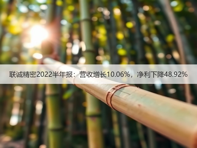 联诚精密2022半年报：营收增长10.06%，净利下降48.92%(图3)