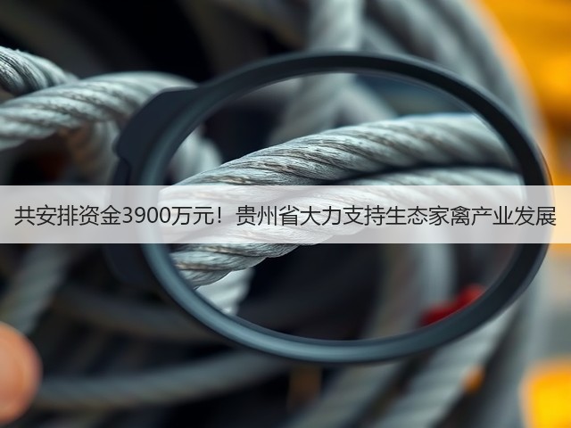 共安排资金3900万元!贵州省大力支持生态家禽产业发展(图2) 共安排资金3900万元!贵州省大力支持生态家禽产业发展(图2)
