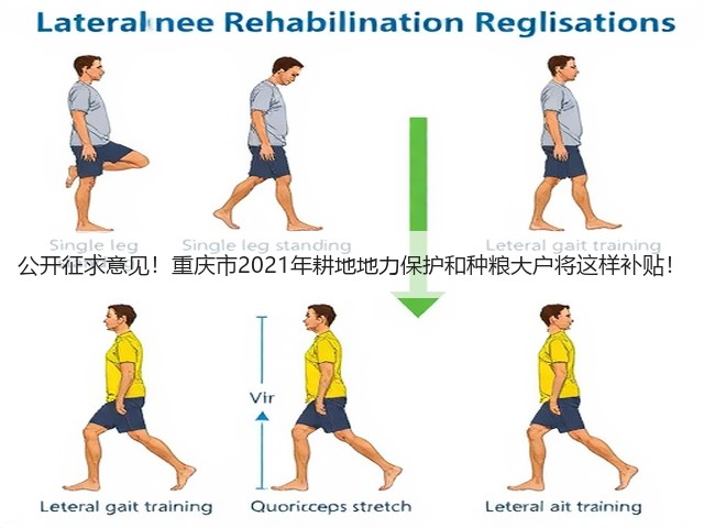 公开征求意见!重庆市2021年耕地地力保护和种粮大户将这样补贴!(图3) 公开征求意见!重庆市2021年耕地地力保护和种粮大户将这样补贴!(图3)