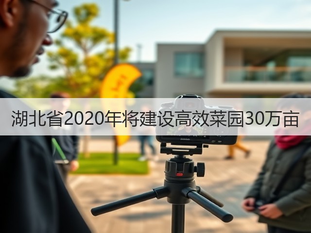 湖北省2020年将建设高效菜园30万亩(图1) 湖北省2020年将建设高效菜园30万亩(图1)