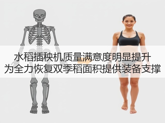 水稻插秧机质量满意度明显提升 为全力恢复双季稻面积提供装备支撑(图3) 水稻插秧机质量满意度明显提升 为全力恢复双季稻面积提供装备支撑(图3)