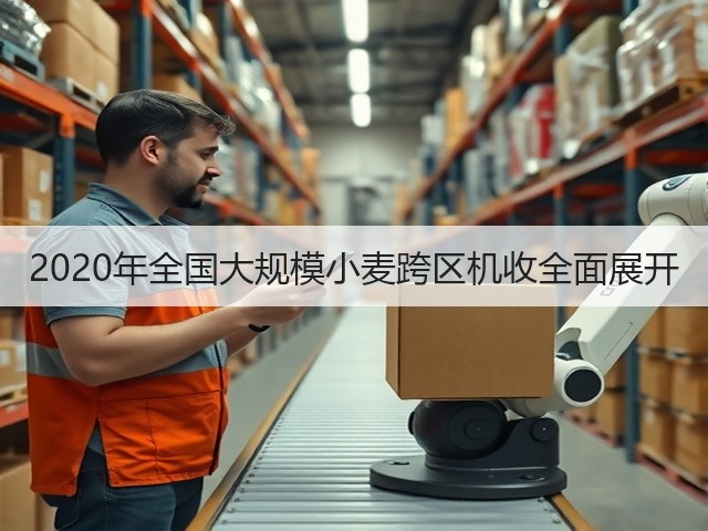 2020年全国大规模小麦跨区机收全面展开(图1) 2020年全国大规模小麦跨区机收全面展开(图1)