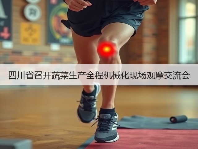 四川省召开蔬菜生产全程机械化现场观摩交流会(图3) 四川省召开蔬菜生产全程机械化现场观摩交流会(图3)