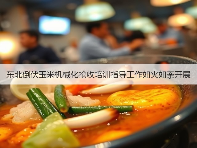东北倒伏玉米机械化抢收培训指导工作如火如荼开展(图2)