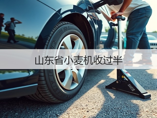 山东省小麦机收过半(图2)