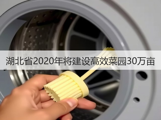 湖北省2020年将建设高效菜园30万亩(图3) 湖北省2020年将建设高效菜园30万亩(图3)