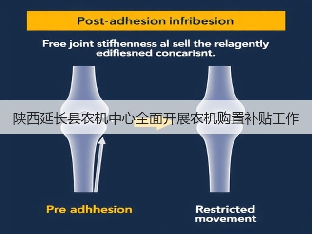 陕西延长县农机中心全面开展农机购置补贴工作(图1) 陕西延长县农机中心全面开展农机购置补贴工作(图1)